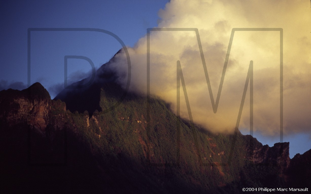 /ecran/D_polynesie_089.jpg