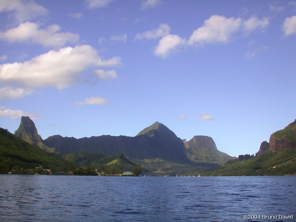 /ecran/plongee_moorea_004.jpg