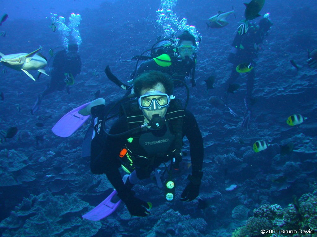 /ecran/plongee_moorea_045.jpg