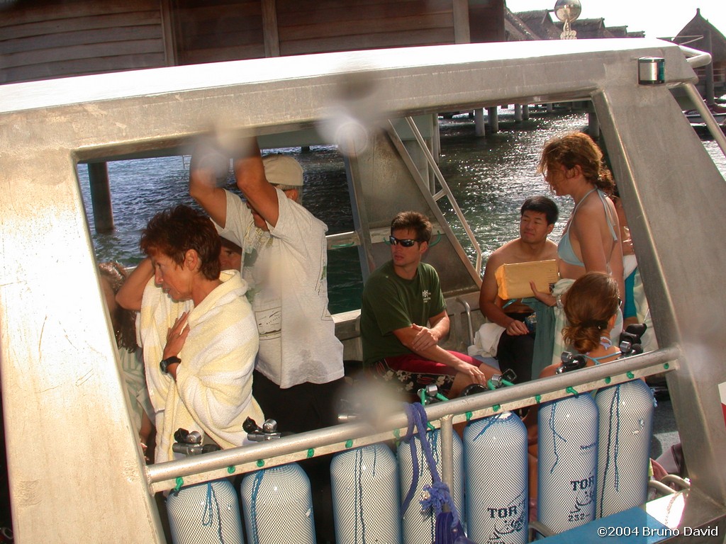 /ecran/plongee_moorea_099.jpg