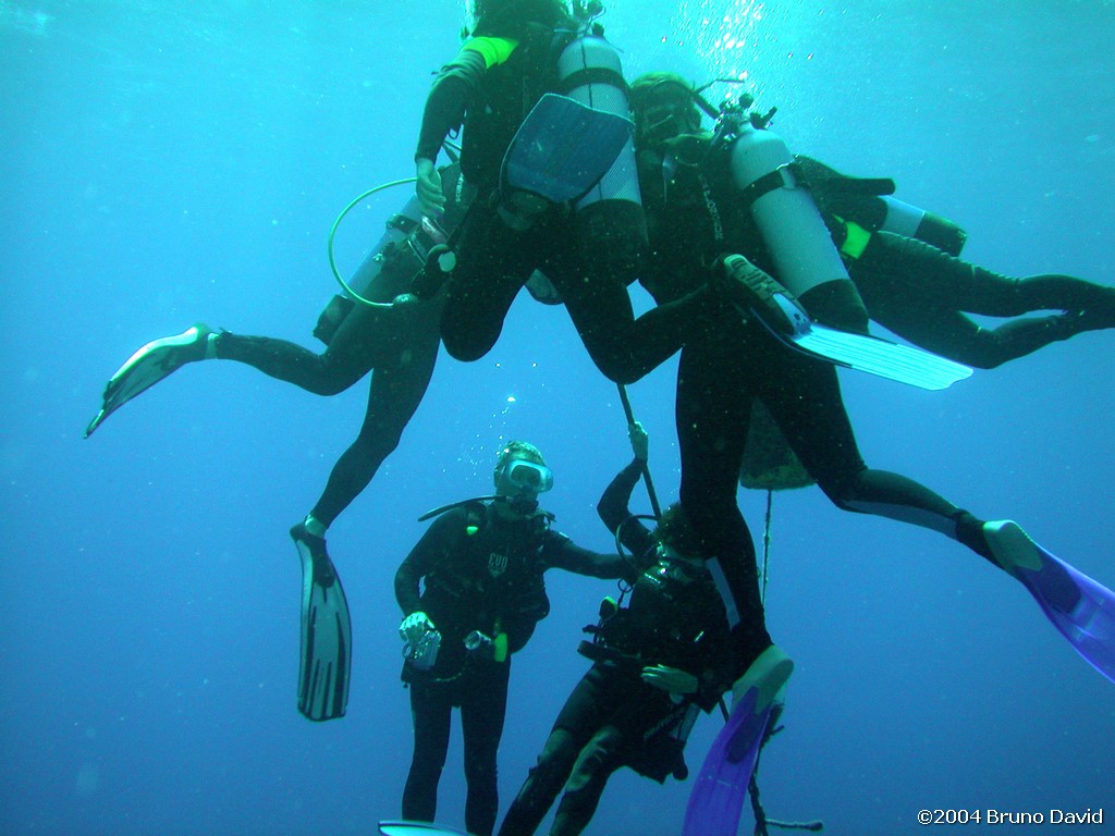 /ecran/plongee_moorea_165.jpg
