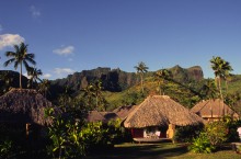 vignette D_polynesie_071.jpg 