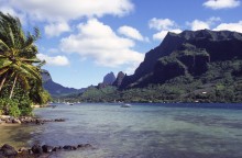 vignette D_polynesie_072.jpg 