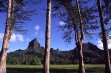 vignette D_polynesie_074.jpg 