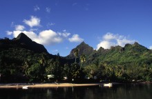 vignette D_polynesie_075.jpg 