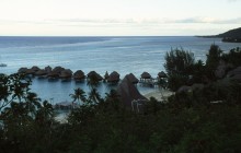 vignette D_polynesie_077.jpg 