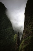 vignette D_polynesie_086.jpg 