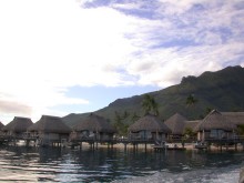 vignette plongee_moorea_002.jpg 