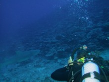 vignette plongee_moorea_050.jpg 