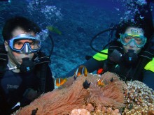 vignette plongee_moorea_067.jpg 