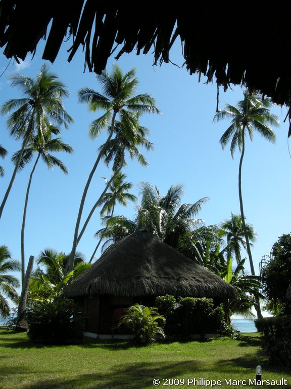 /ecran/polynesie_2009_0265.jpg