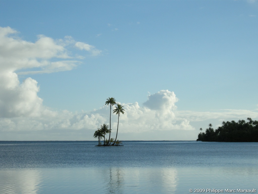 /ecran/polynesie_2009_0540.jpg