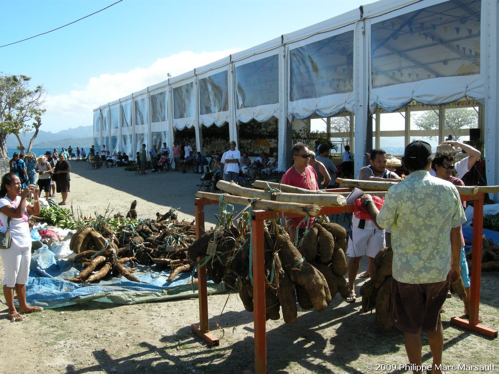 /ecran/polynesie_2009_0783.jpg