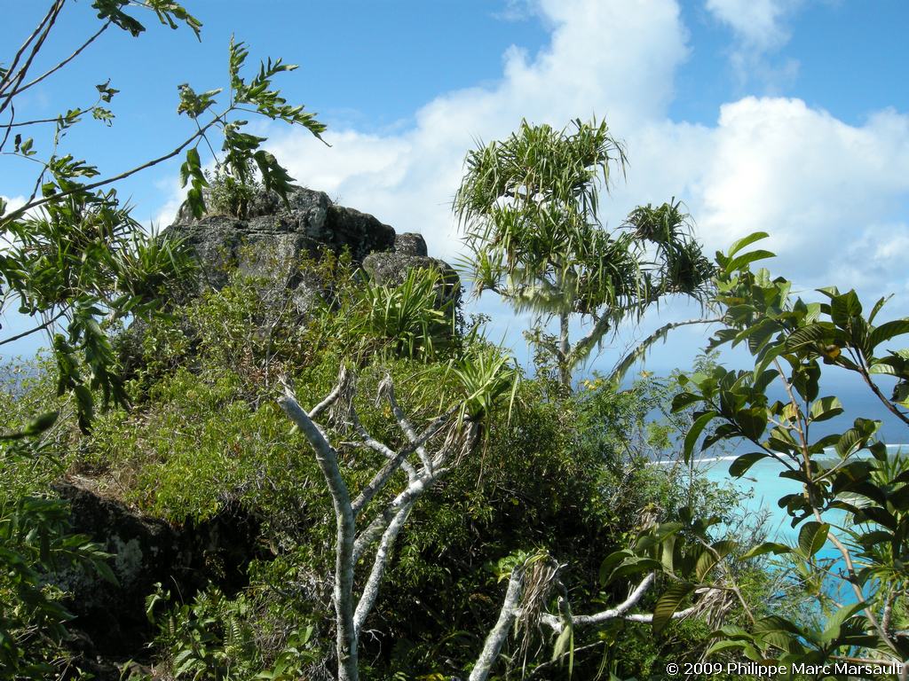 /ecran/polynesie_2009_0974.jpg