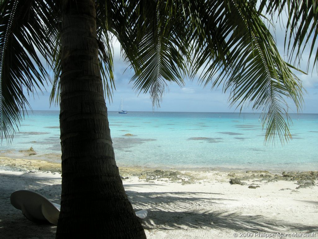 /ecran/polynesie_2009_1497.jpg