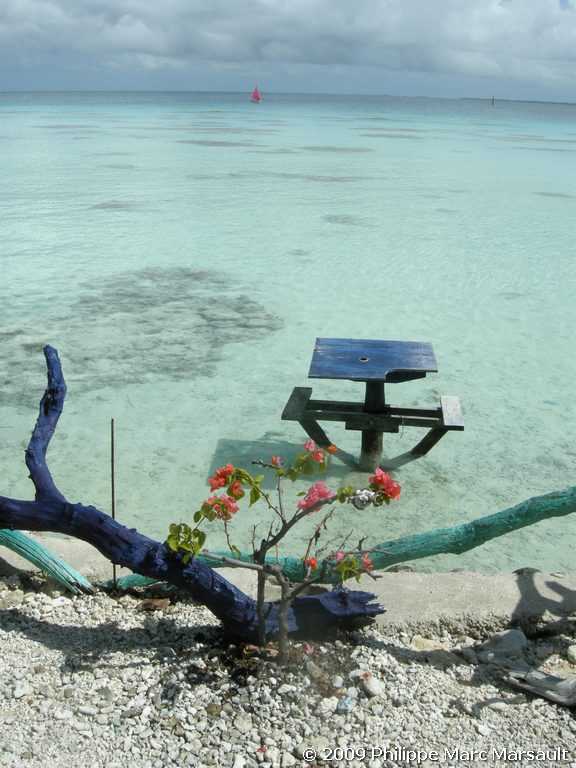 /ecran/polynesie_2009_1507.jpg