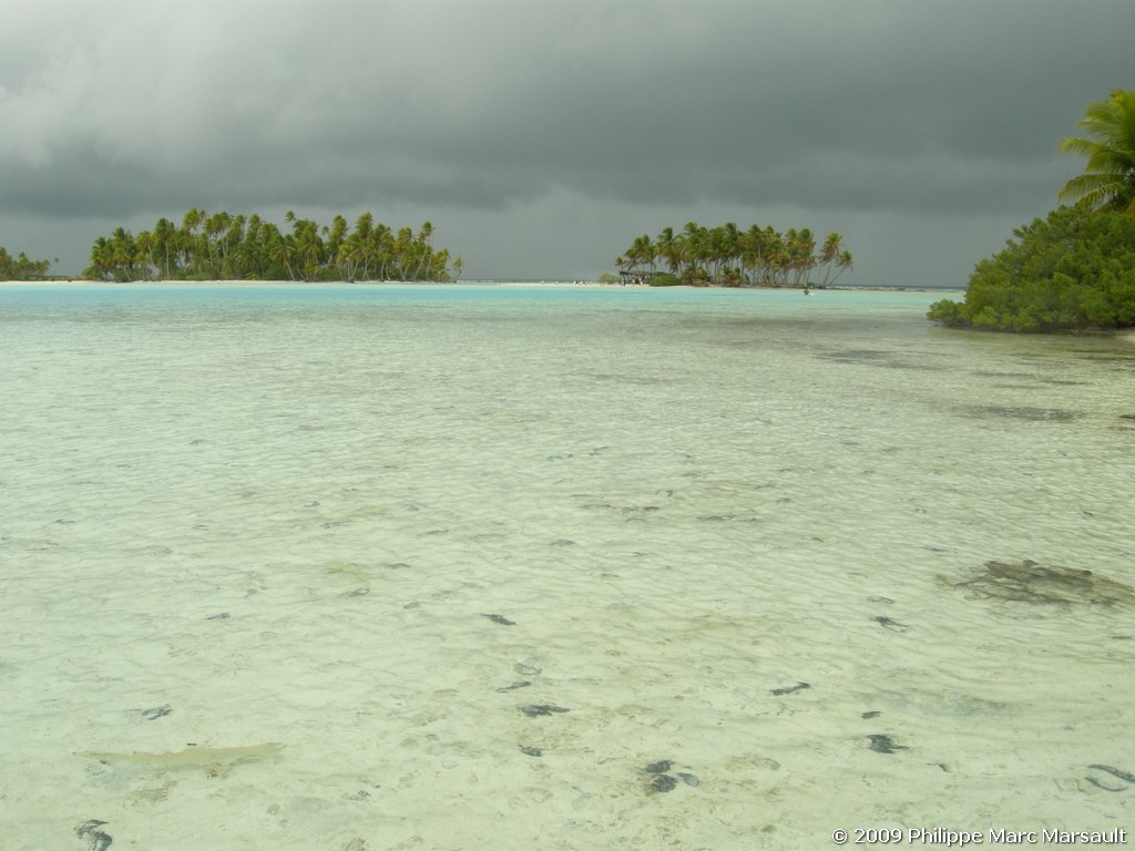 /ecran/polynesie_2009_1938.jpg