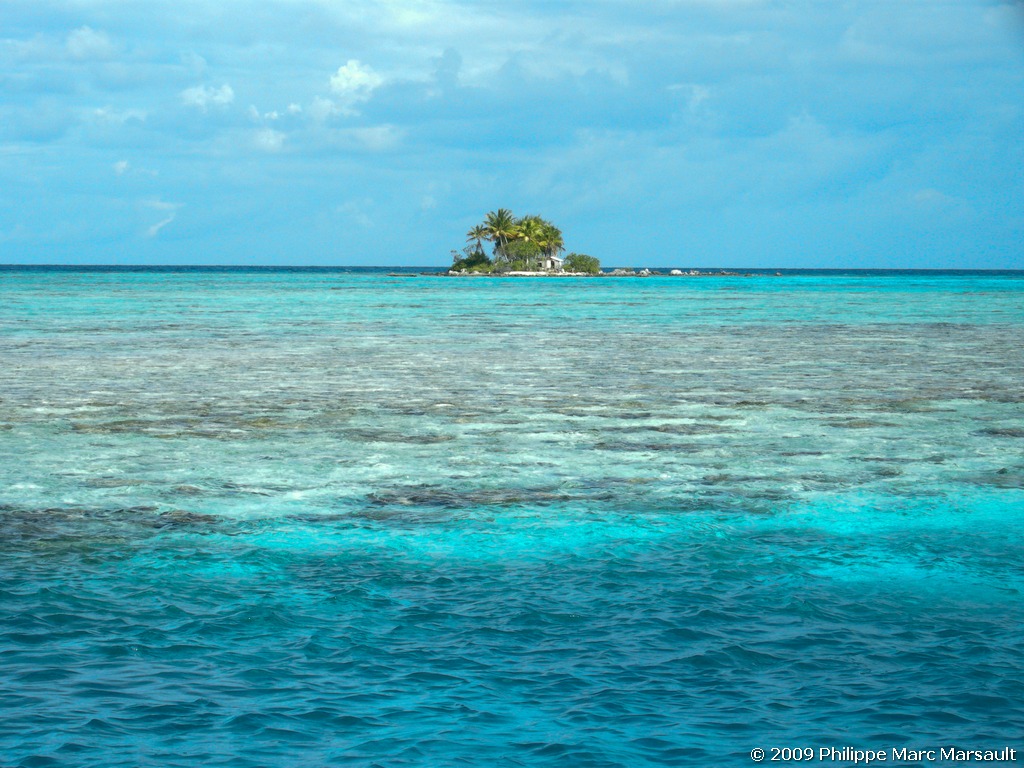 /ecran/polynesie_2009_1944.jpg