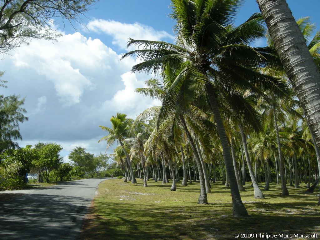 /ecran/polynesie_2009_1959.jpg