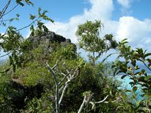 vignette polynesie_2009_0974.jpg 