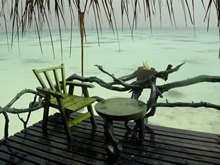 vignette polynesie_2009_1407.jpg 