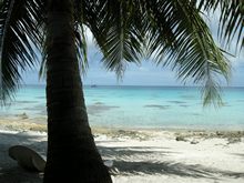 vignette polynesie_2009_1497.jpg 