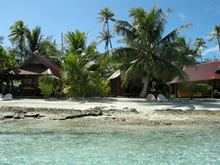 vignette polynesie_2009_1504.jpg 