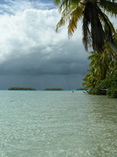 vignette polynesie_2009_1913.jpg 