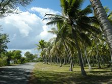 vignette polynesie_2009_1959.jpg 