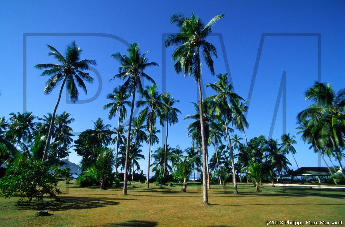 /ecran/seychelles_005.jpg