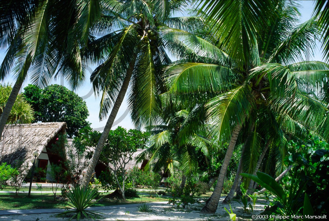 /ecran/seychelles_020.jpg
