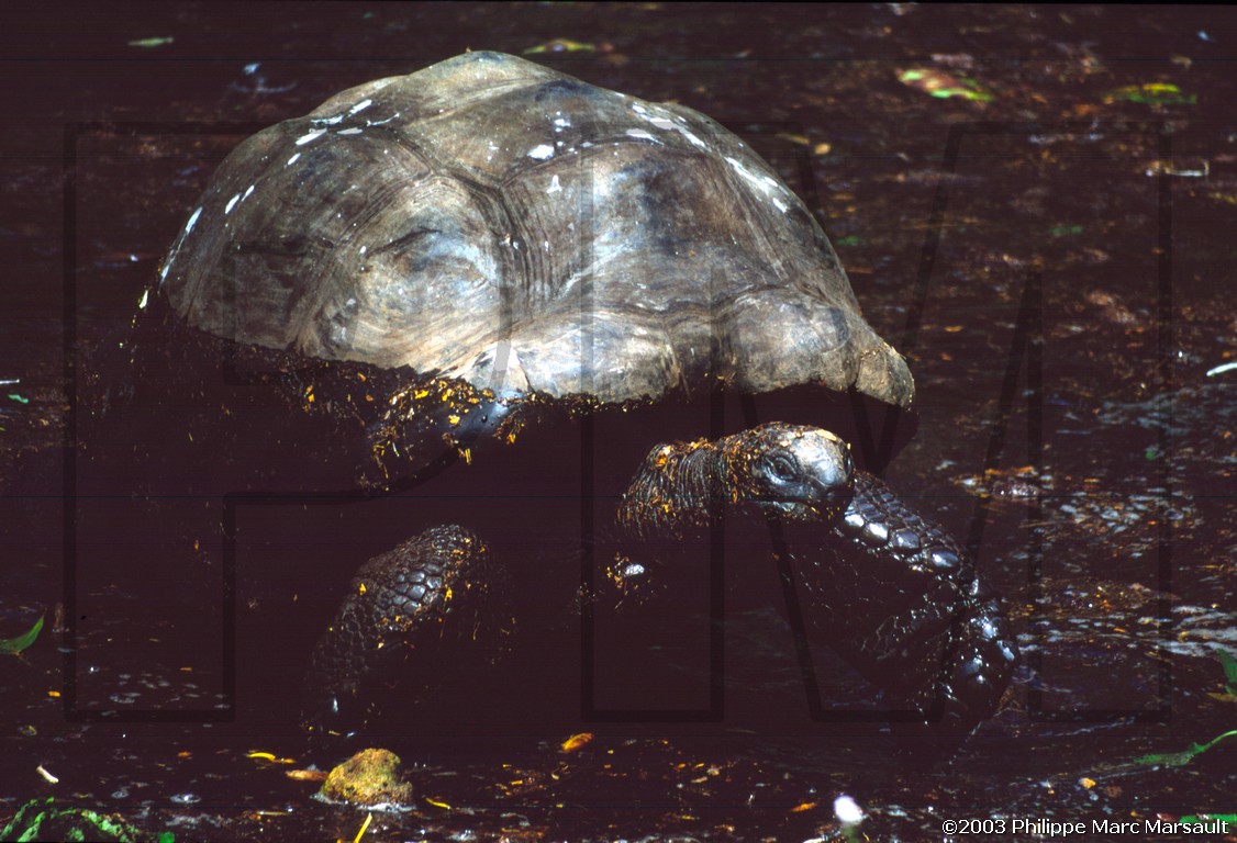 /ecran/seychelles_053.jpg