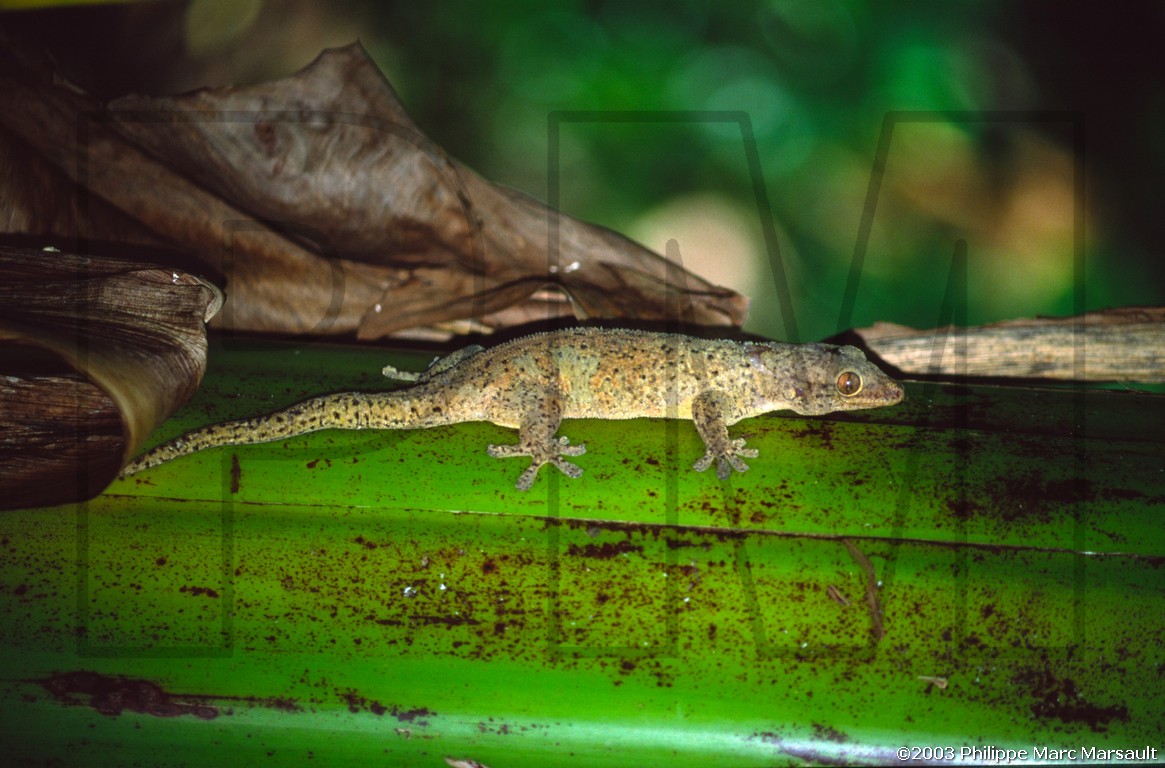 /ecran/seychelles_055.jpg