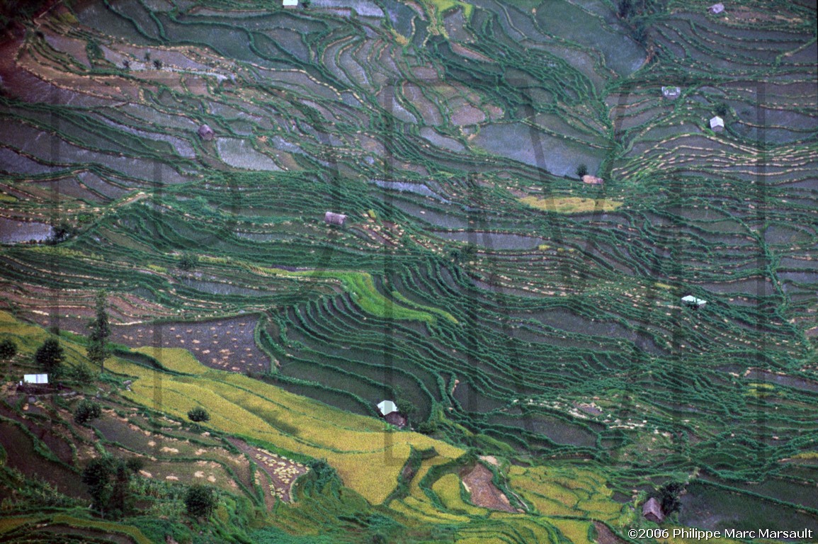 /ecran/D_yunnan_036.jpg