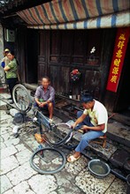 vignette D_yunnan_087 