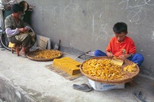 vignette D_yunnan_092 