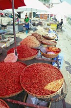vignette D_yunnan_102 
