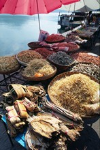 vignette D_yunnan_105 