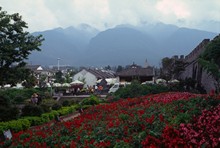 vignette D_yunnan_110 