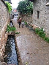 vignette N_yunnan_2006_071.jpg 