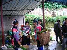 vignette N_yunnan_2006_101.jpg 