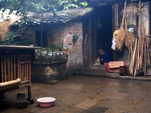 vignette N_yunnan_2006_216.jpg 
