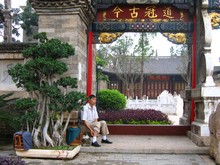 vignette N_yunnan_2006_253 