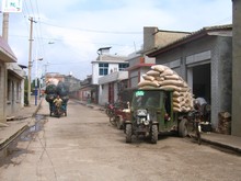 vignette N_yunnan_2006_263 
