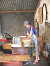 vignette N_yunnan_2006_266 