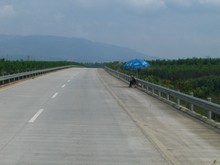 vignette N_yunnan_2006_271 