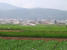 vignette N_yunnan_2006_275 