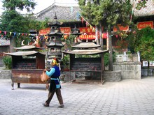vignette N_yunnan_2006_309 