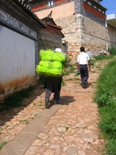 vignette N_yunnan_2006_323 