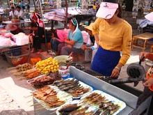 vignette N_yunnan_2006_331 